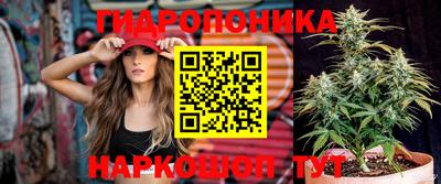 шишки Пугачёв
