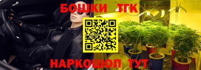 шишки Пугачёв