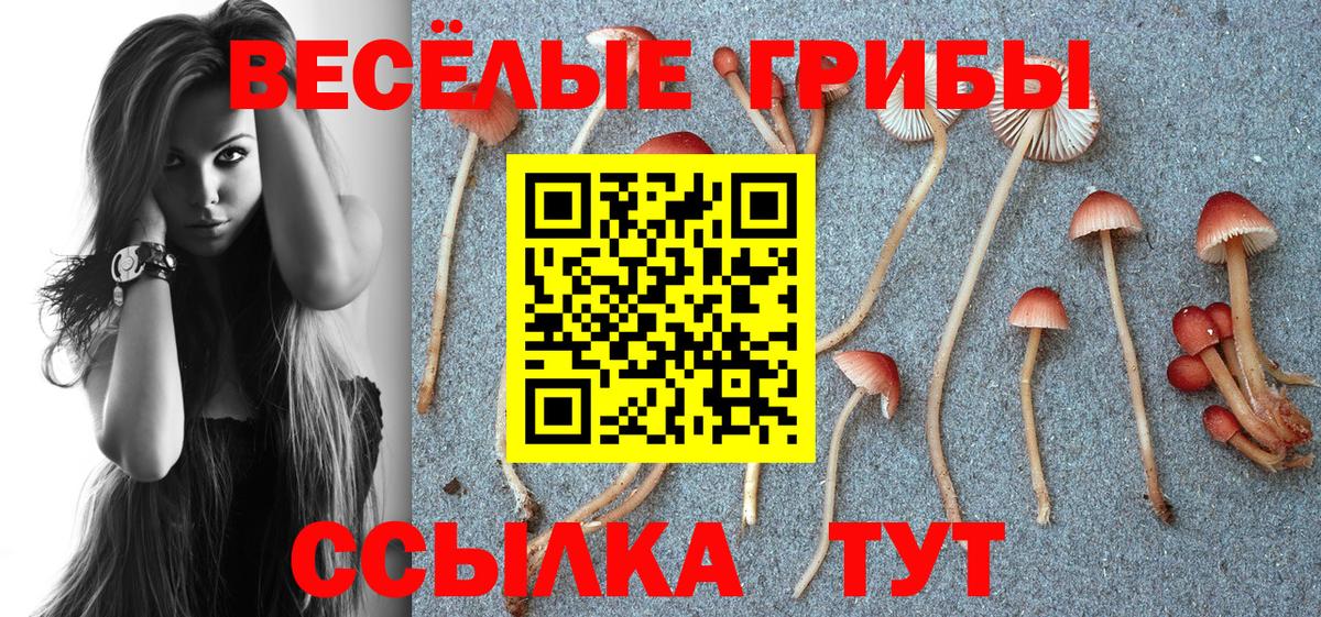 Галлюциногенные грибы Magic Shrooms  Вход с VPN  Сердобск  Псилоцибиновые грибы мухоморы 